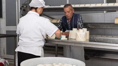 Cum poți economisi timp și bani când ceri oferte de la furnizori